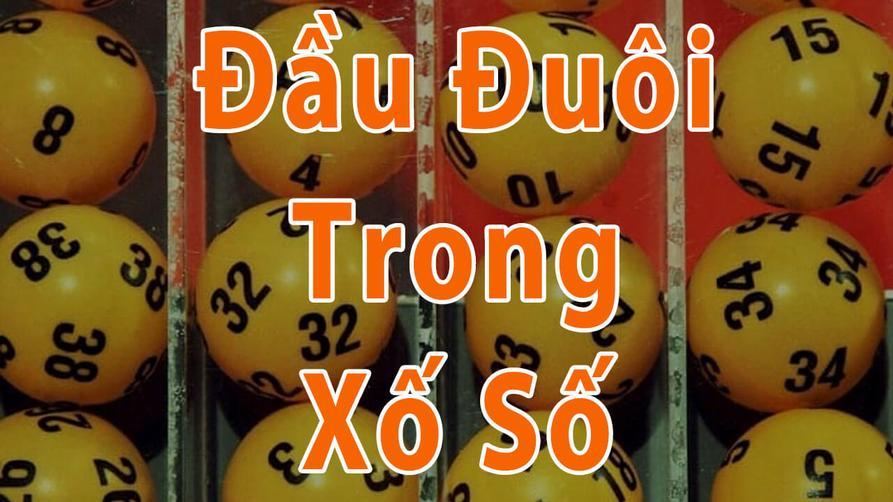 Sớ đầu đu&ocirc;i miền Bắc l&agrave; g&igrave;?